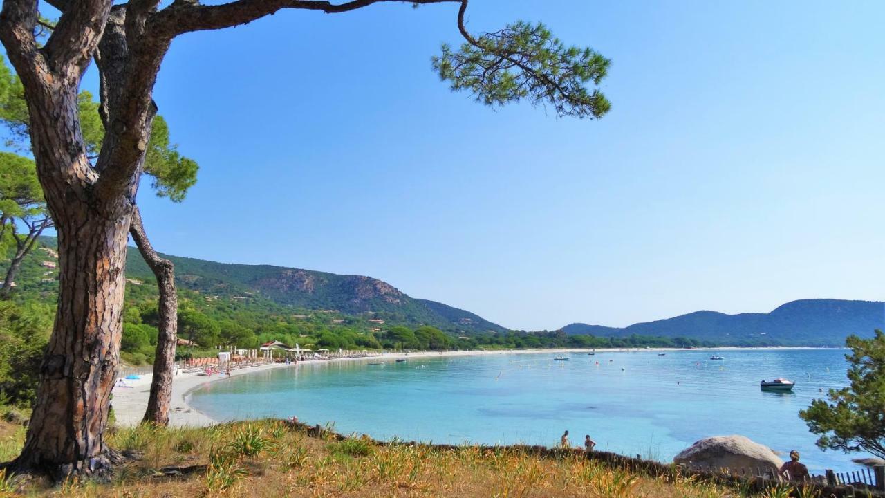A Altezza Palombaggia Villa Porto-Vecchio  Buitenkant foto
