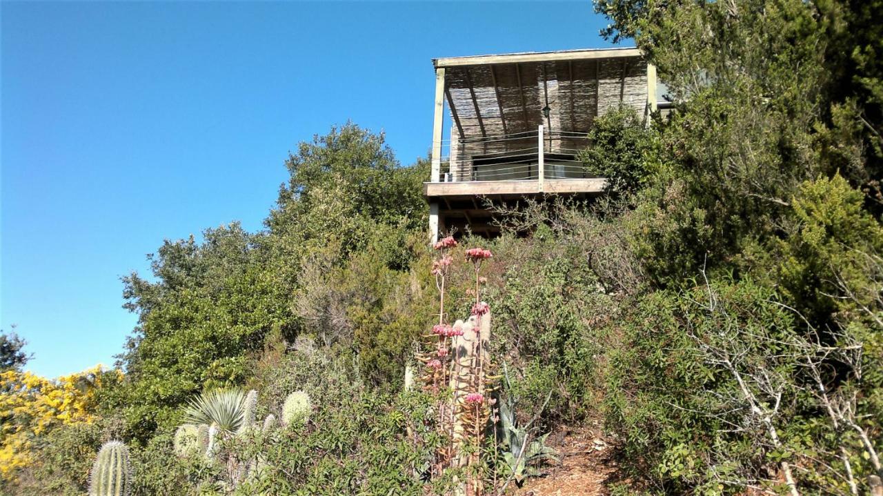 A Altezza Palombaggia Villa Porto-Vecchio  Buitenkant foto
